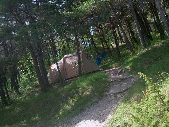 Hotel Camping La Chabannerie Saint-Martin-de-Clelles Exterior foto